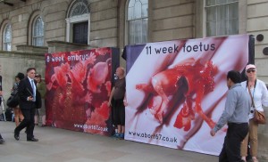 Anti-choice protesters camped out in London, displaying gruesome images of dead foetuses. Photo: David Holt